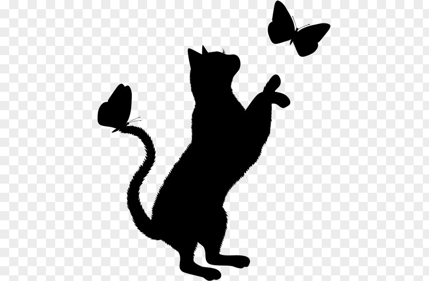 Casal De Namorados Whiskers Black Cat Persian Kitten Exotic Shorthair PNG