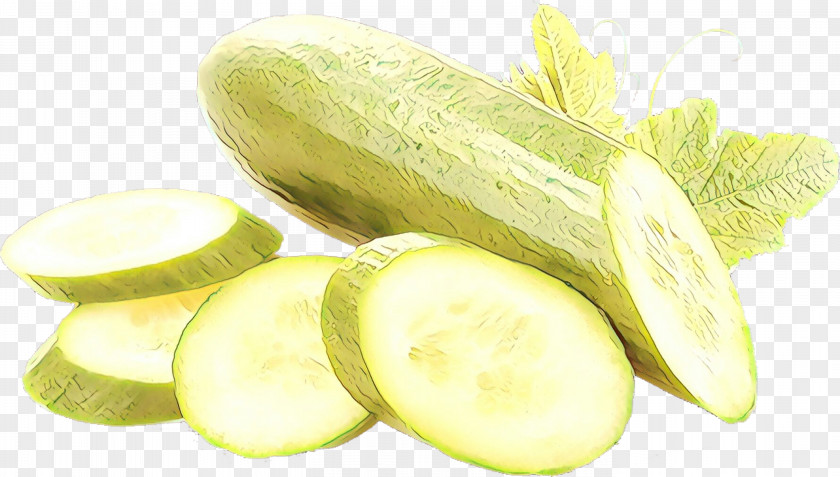 Cucumber Vegetable Food Pepino Plant PNG