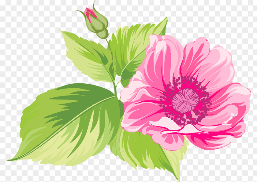 Flower Floral Design Blume Clip Art PNG