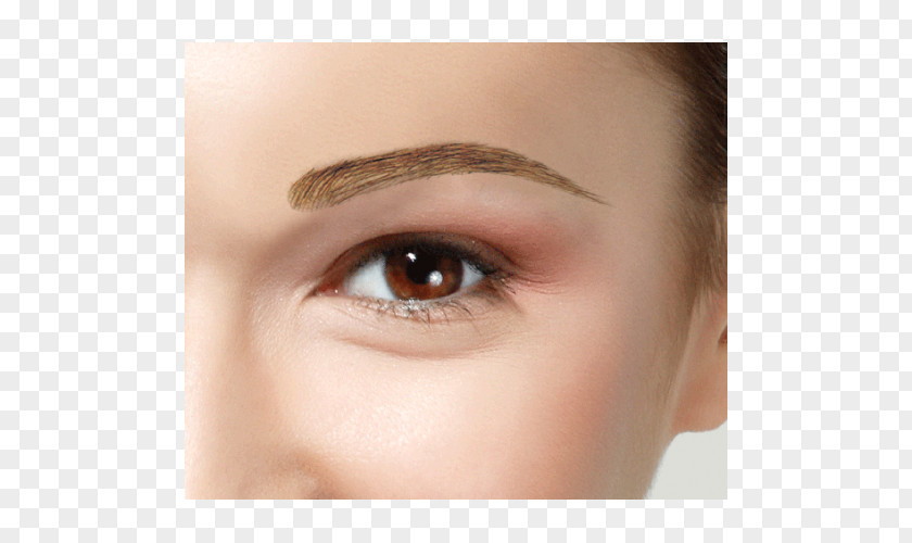 Hair Eyelash Extensions Eyebrow Wig PNG