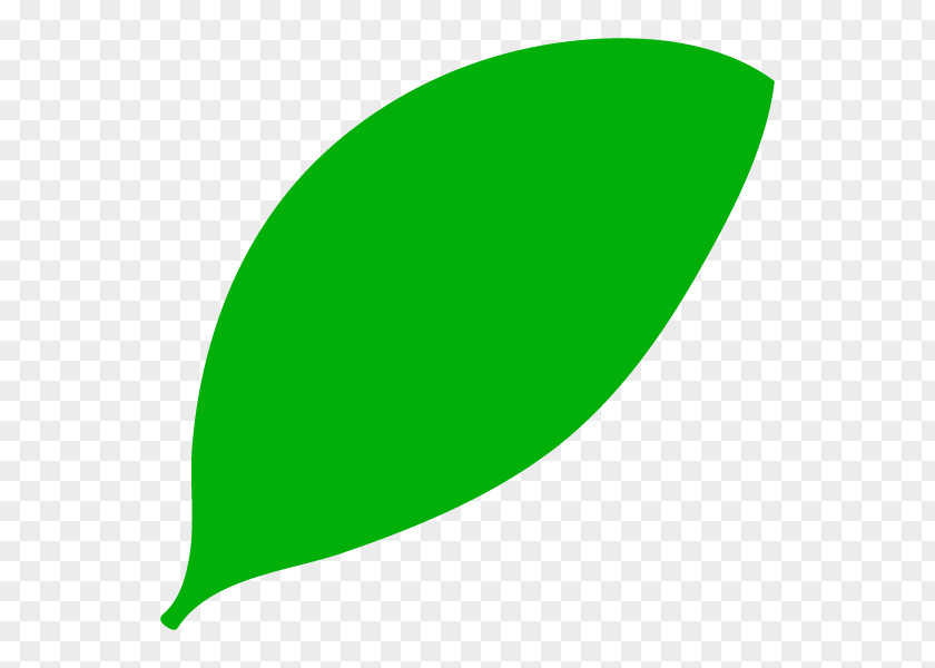 Leaf Graphics Product Design PNG