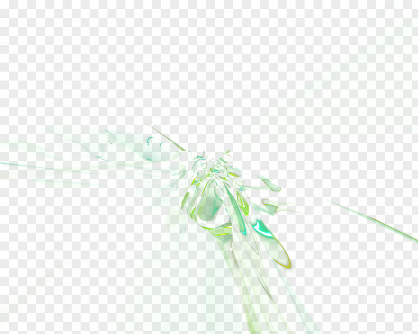 Special Effects Technology Background Petal Close-up PNG
