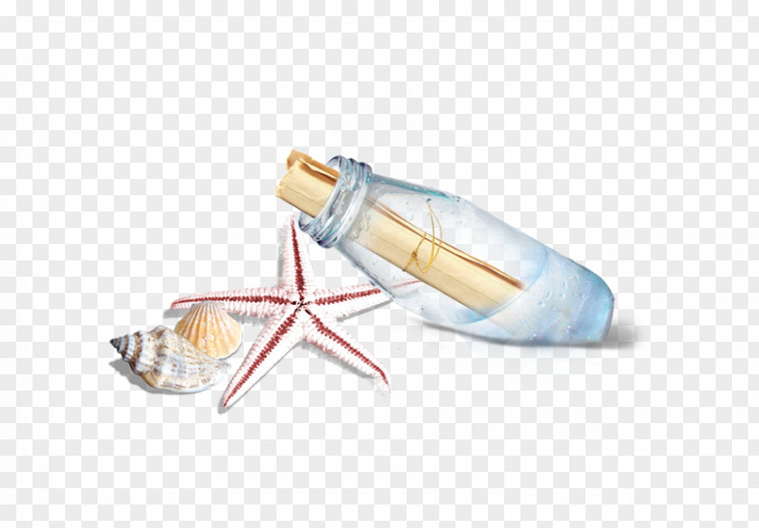 Starfish Wishing Bottle PNG