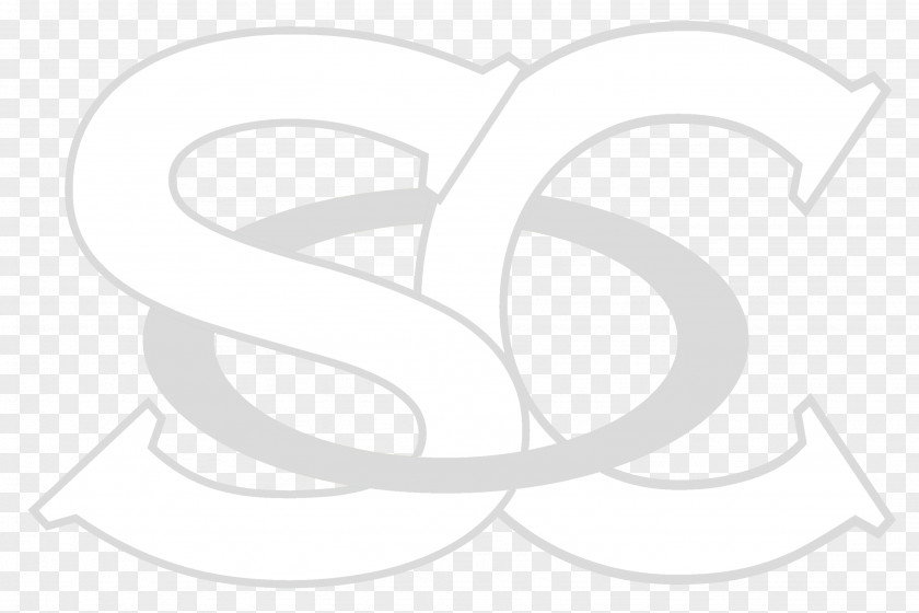 Steller Brand Logo PNG