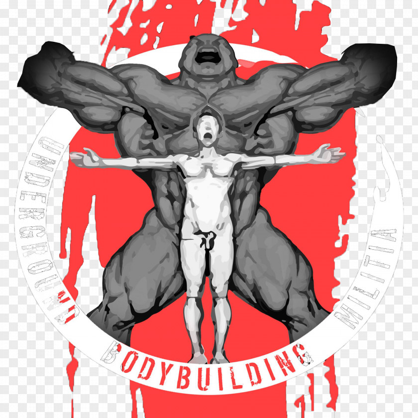 Bodybuilding Latissimus Dorsi Muscle Sports Training Athlete PNG
