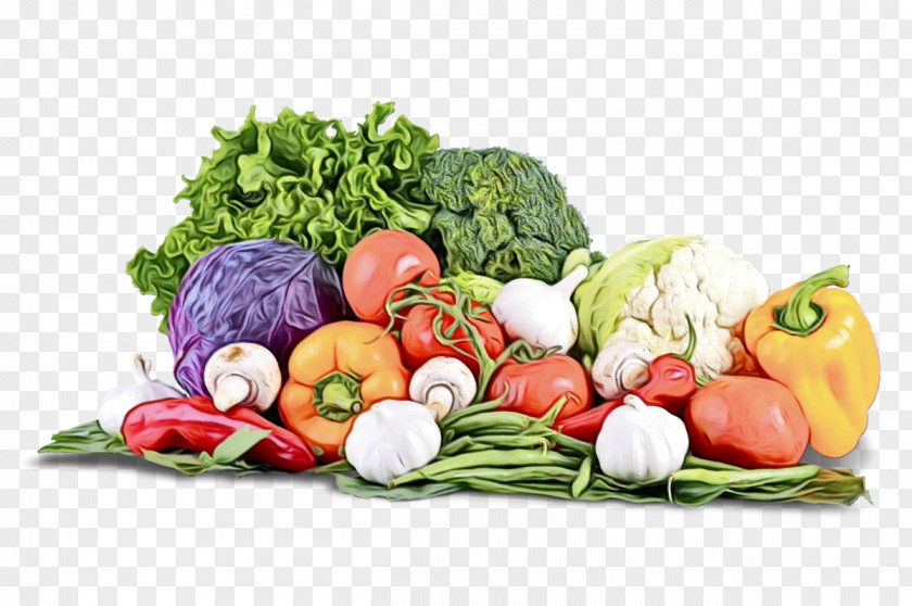 Broccoli Vegetables & Herbs Organic Food Clip Art PNG
