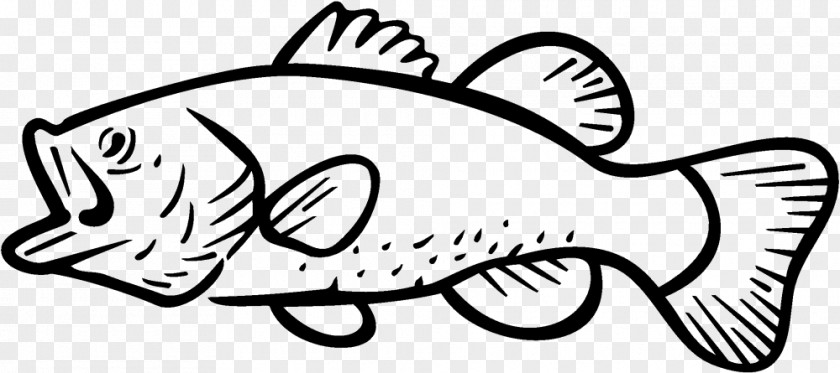 Fishing Bass Largemouth Clip Art PNG