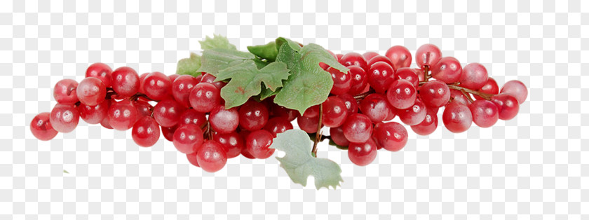Grape Sultana Zante Currant Seedless Fruit Berry PNG