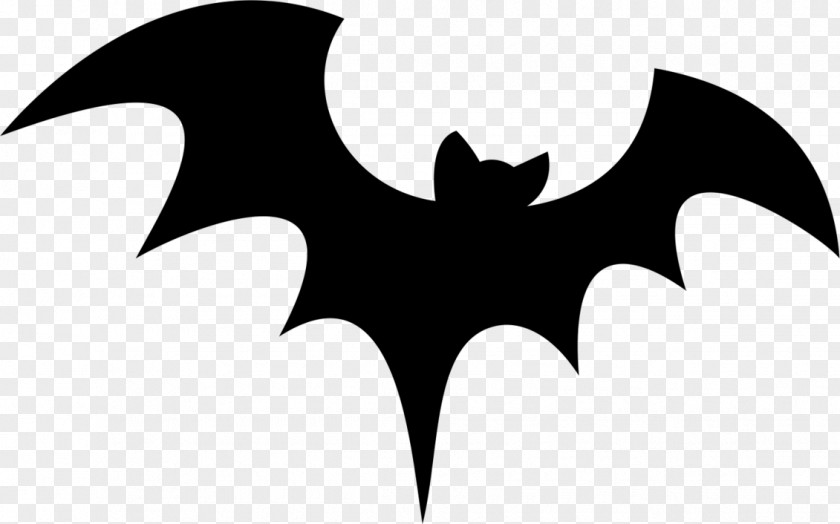 Halloween Drawing Bat Clip Art PNG