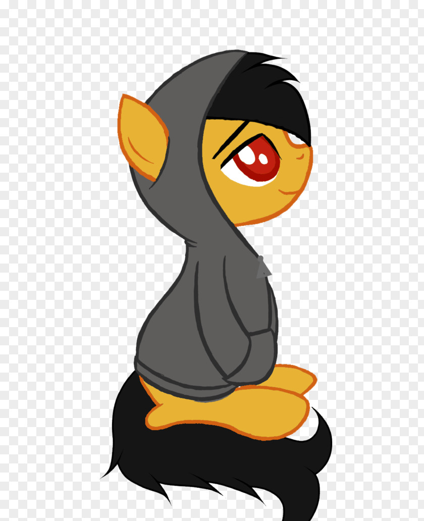 Hoodie Pony Sweater PNG