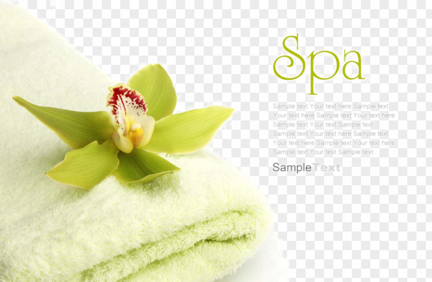 Oil Supplies Towel SPA Spa Essential Massage Cosmetology Facial PNG