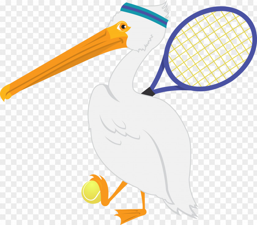 Pelican Bird Beak Cartoon Sport Clip Art PNG