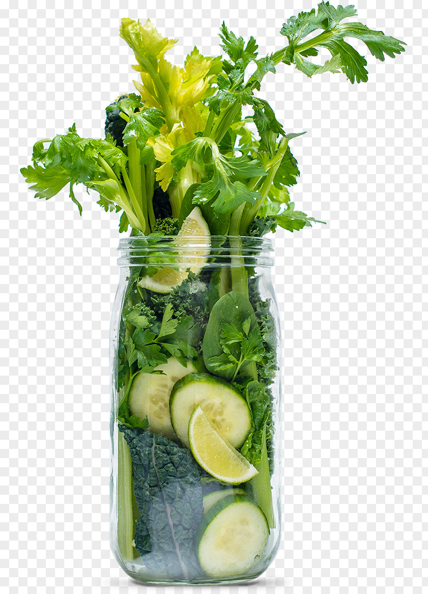 Vegetables Celery Juice Smoothie Health Shake Evolution Fresh PNG