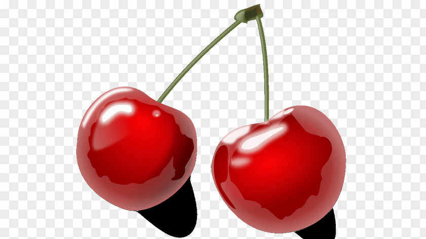 Cherry Fruit Line Art Drawing Clip PNG