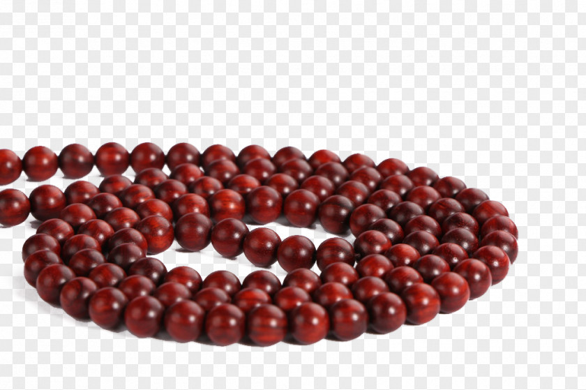 A Bunch Of Buddha Beads Bead Buddhahood Google Images PNG