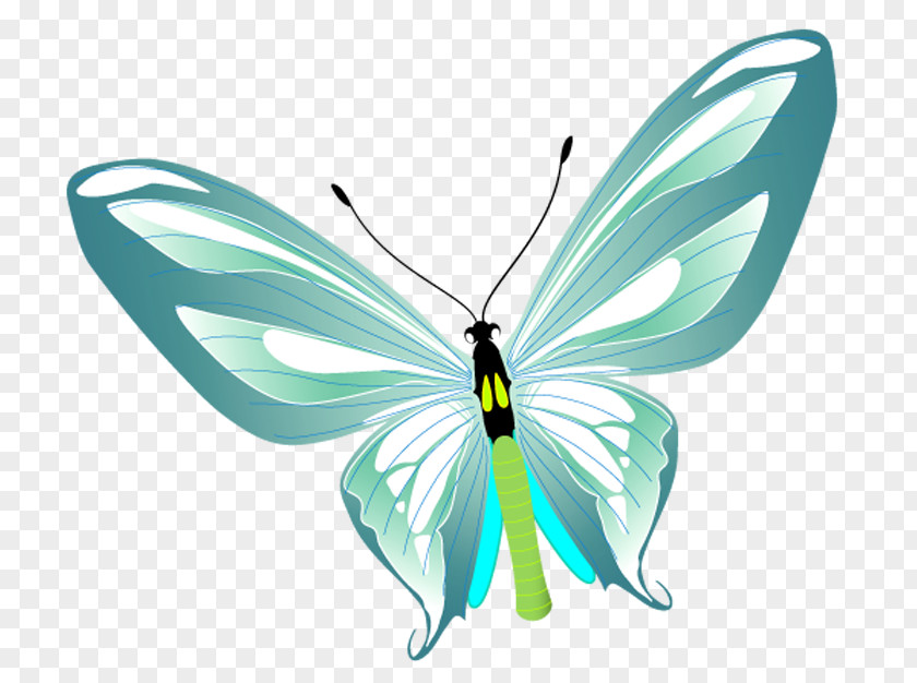 Butterfly Brush-footed Butterflies Clip Art PNG