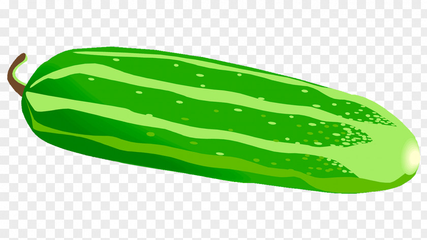 Cucumber Pickled Vegetable Clip Art PNG