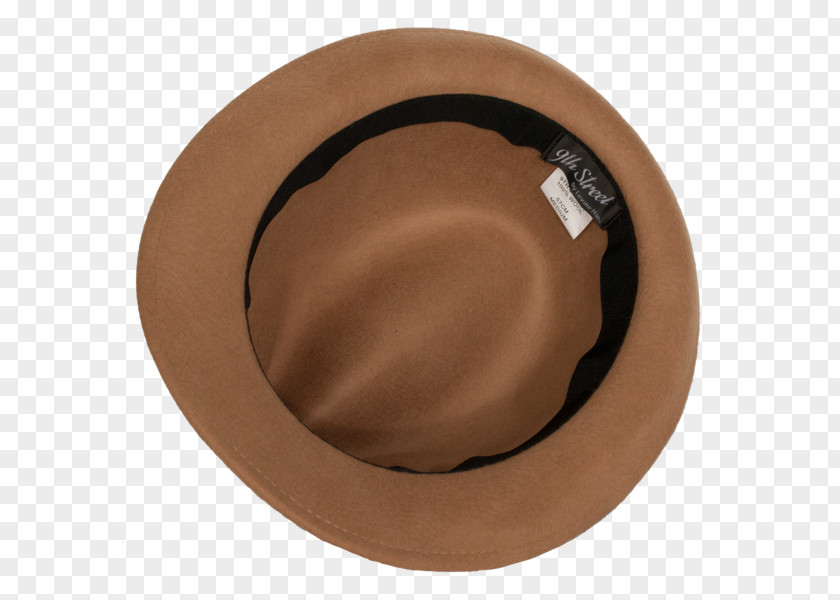 Hat Levine Co. Fedora Wool Energy PNG