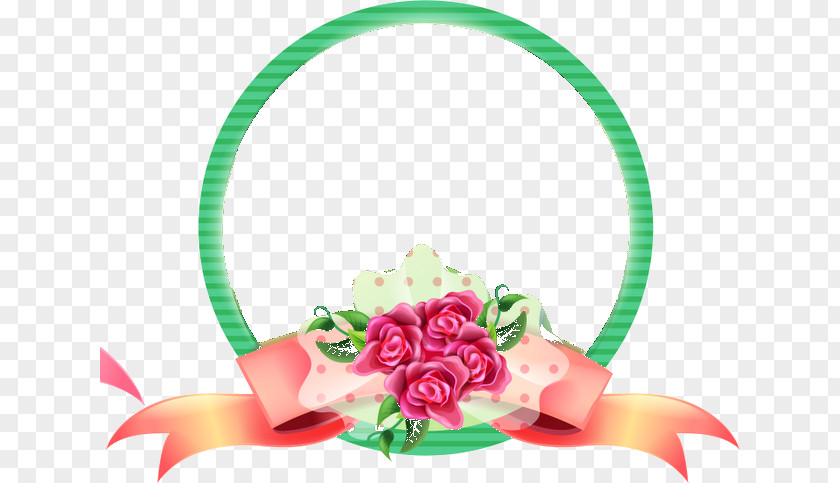 Molduras Circulares Picture Frames Photography Flower PNG