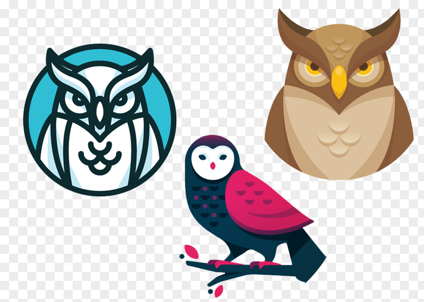 Owl Designs Logo Graphic Design Drawing Illustration PNG