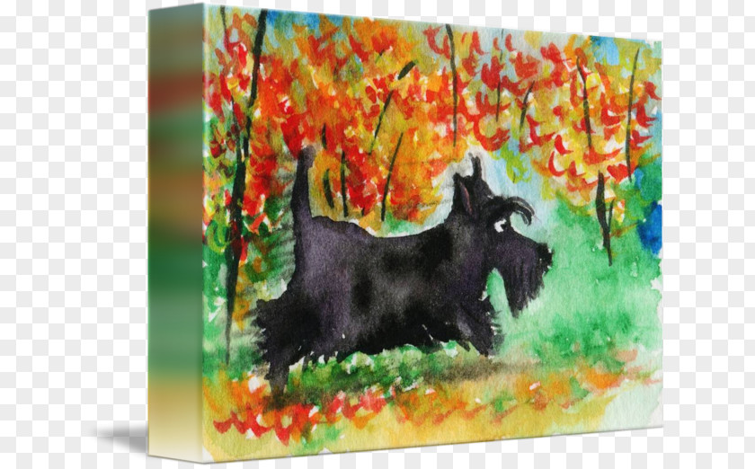 Painting Scottish Terrier Cairn Dog Breed Acrylic Paint PNG