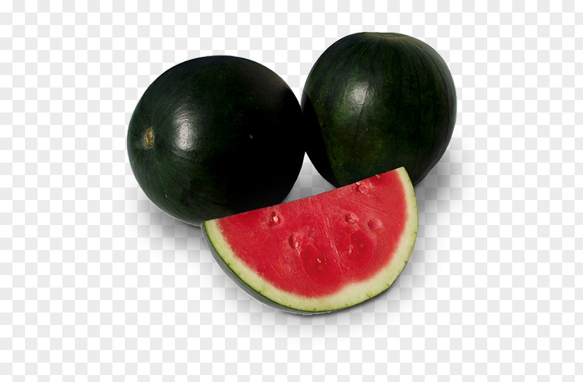 Watermelon Rootstock Muskmelon Seed PNG