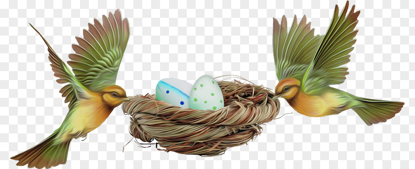 Bird Egg Easter Red Factor Canary PNG