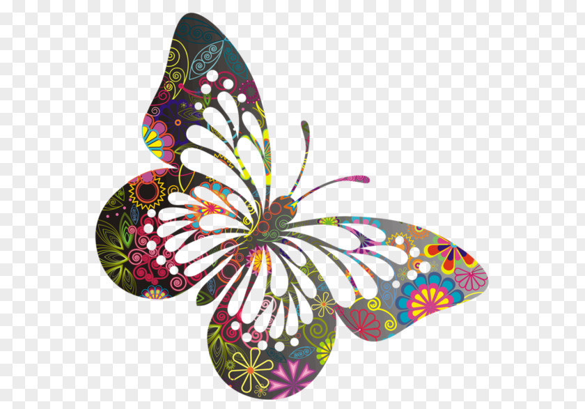 Butterfly Butterflies & Insects Pillow PNG