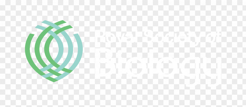 Design Logo Brand Green PNG