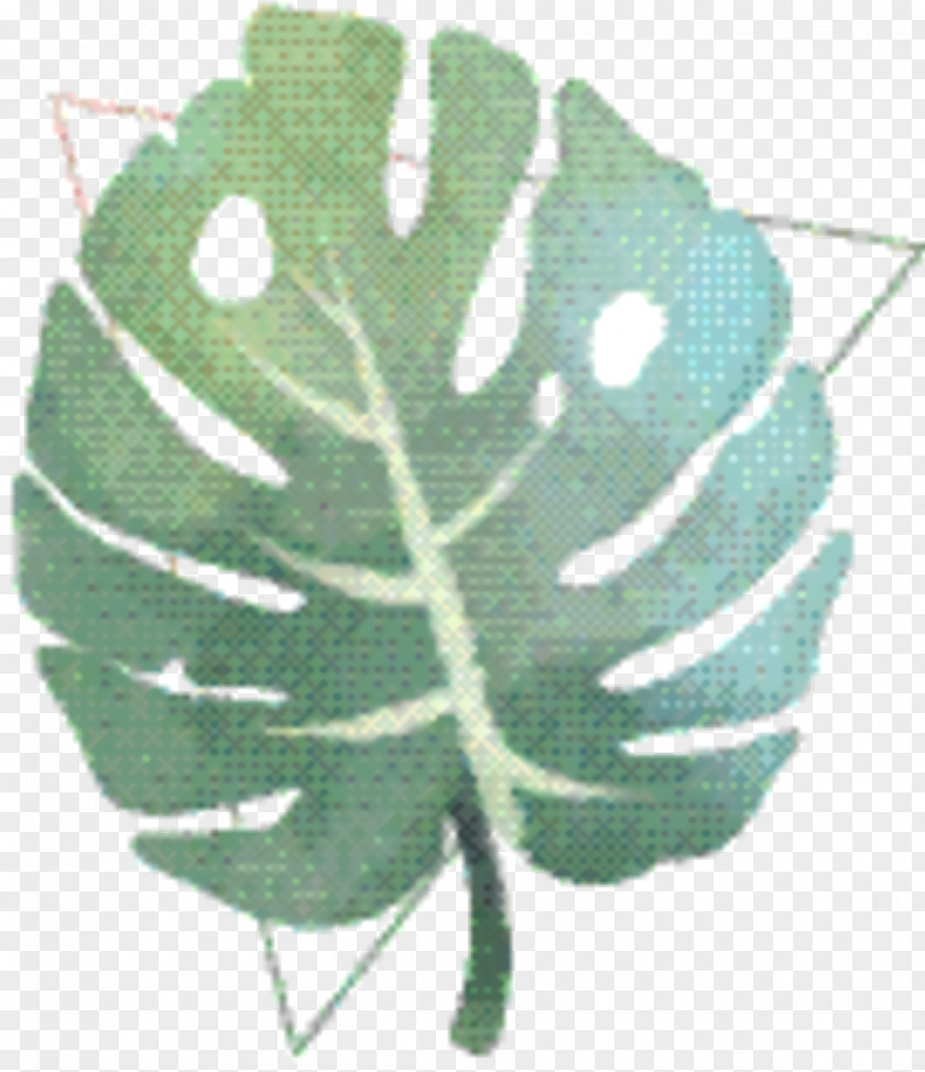 Flower Plant Tree Background PNG