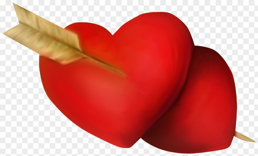 Heart Red Love Clip Art PNG