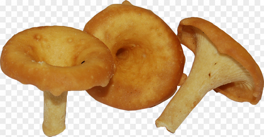 Nuts Biscuit Food Chanterelle Groat Mushroom Condensed Milk PNG