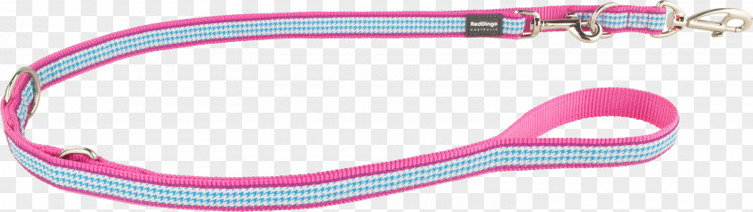 Pied Poule Leash Dingo Pink PNG