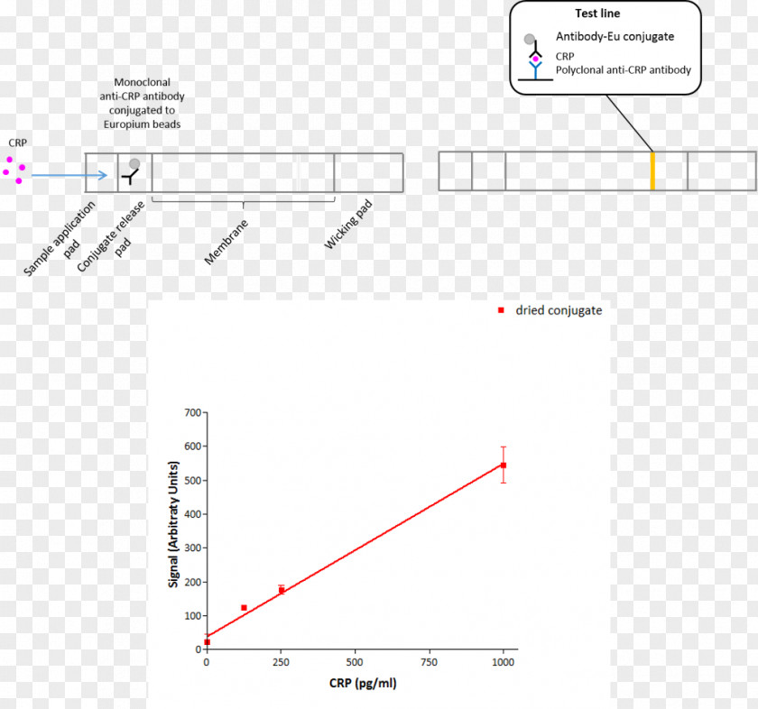 Line Document Angle PNG