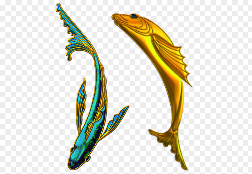 Monochromatyzm Grafika Marine Mammal Feather Fish PNG