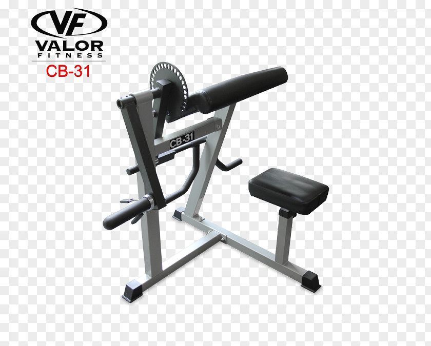 Arm Bench Biceps Curl Triceps Brachii Muscle Elliptical Trainers PNG