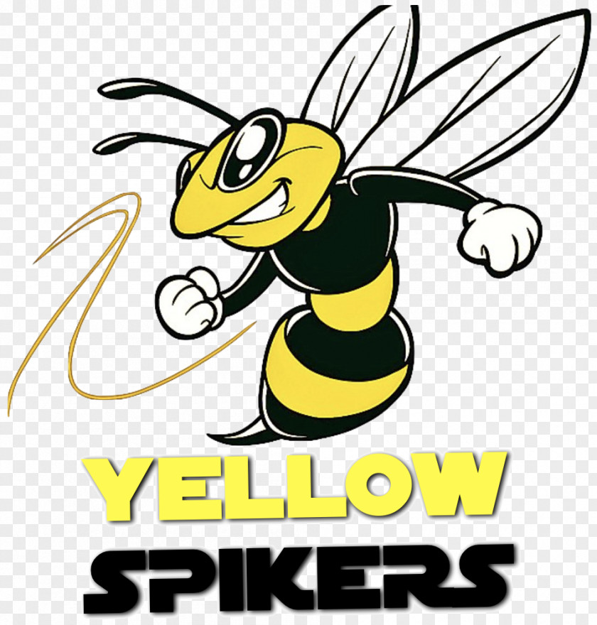 Bee Hornet Clip Art PNG