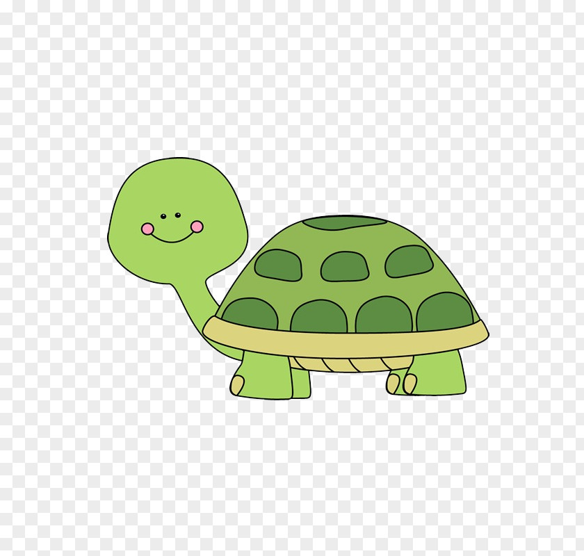 La Reptiles Green Sea Turtle Clip Art Image Free Content PNG