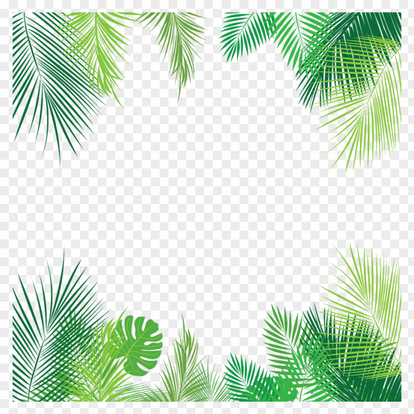 Palm Leaves Vector Clip Art Graphics Leaf Trees PNG