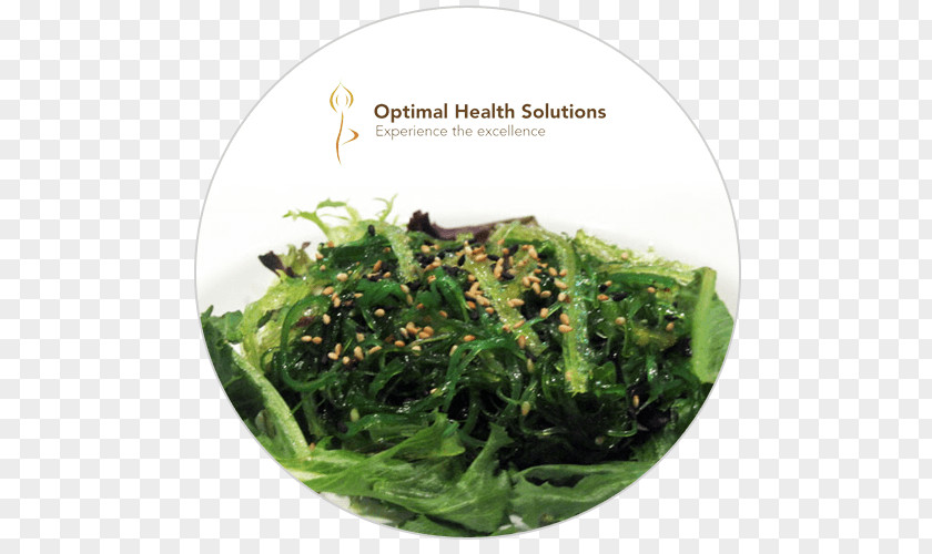 Seaweed Leaf Vegetable Food Herb PNG