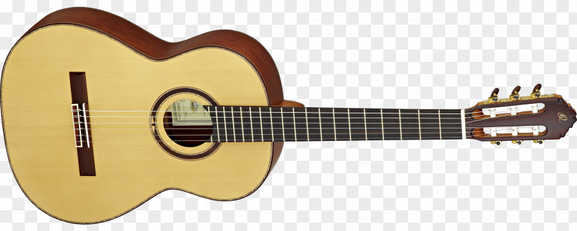 Acoustic Guitar Classical Musical Instruments Acoustic-electric PNG
