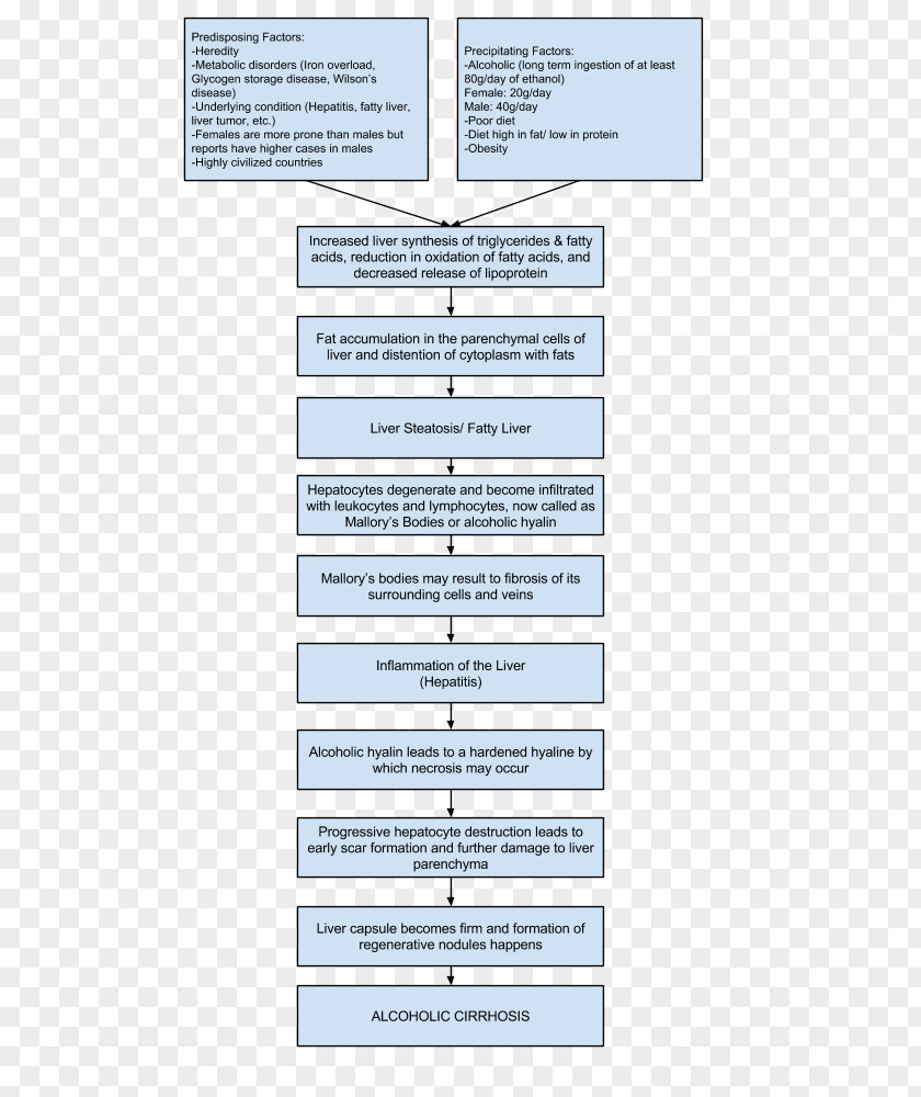 Cirrhosis Hepatic Encephalopathy Nursing Care Plan Liver PNG