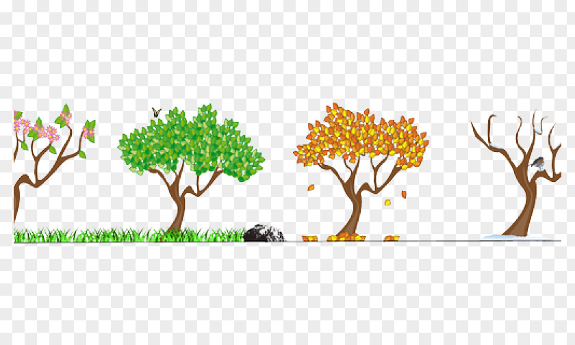 Four Seasons Season Northern Hemisphere Autumn Clip Art PNG