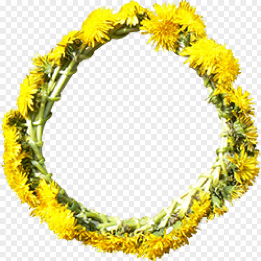 Ginger Flower Wreath Yellow Dandelion PNG