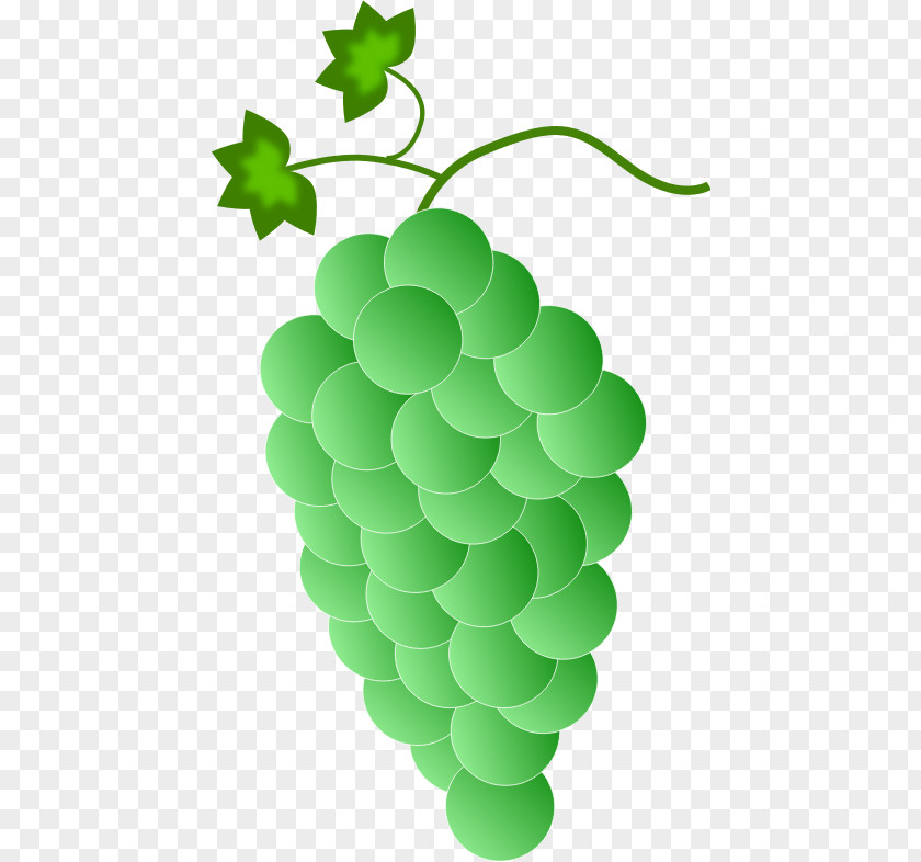Grape Common Vine Wine Clip Art Color PNG