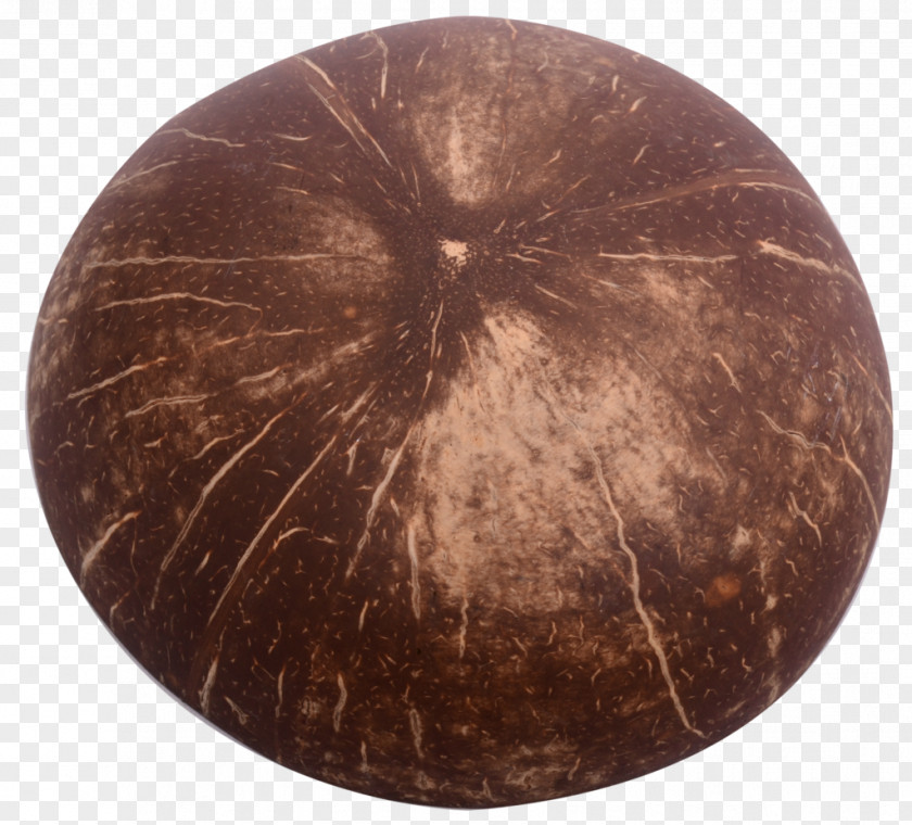 Hand Painted Coconut Copper Circle PNG