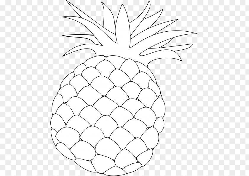 Pineapple Drawing Clip Art PNG