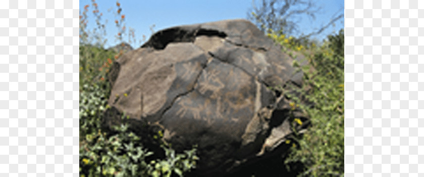 Rock Event Nature Reserve Outcrop Geology Biome Shrubland PNG