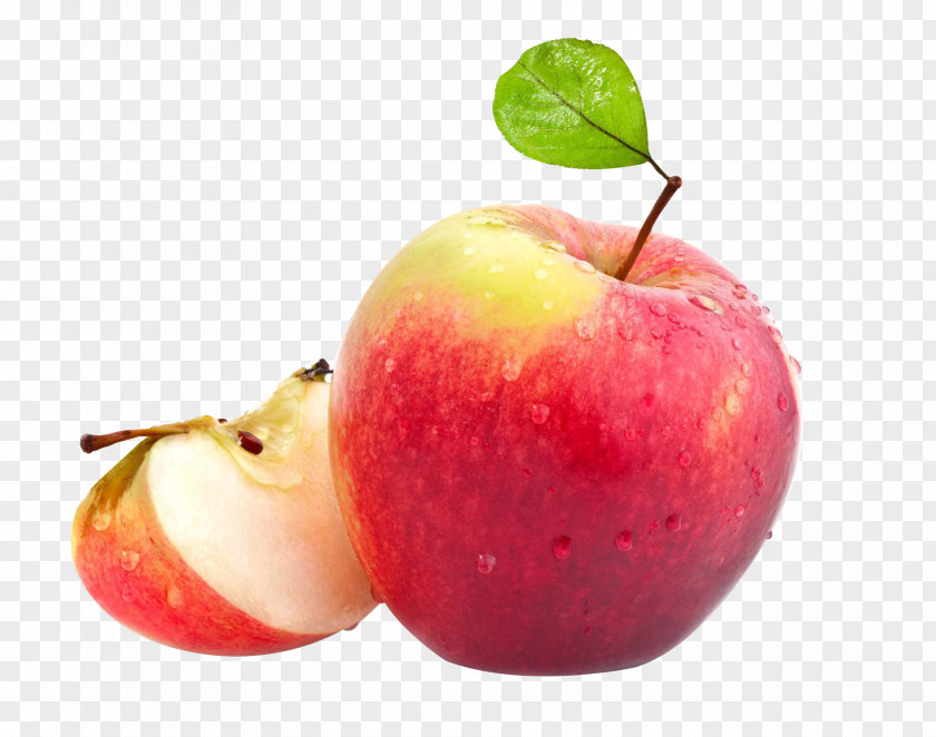 Apple Corer Malus Sieversii Crisp Pelador De Manzanas PNG