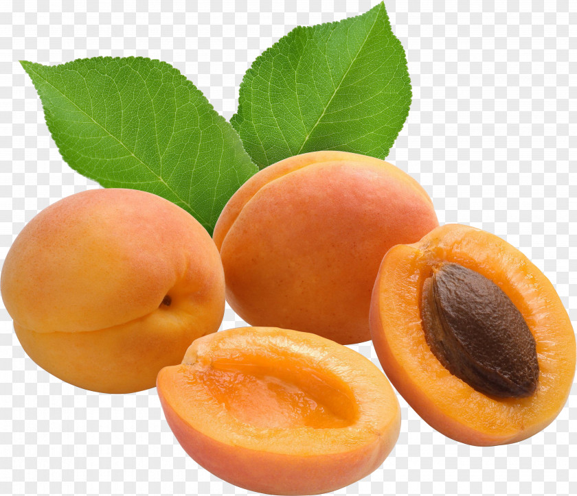 Apricot Fruit Auglis Food PNG